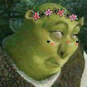 Meet your Posher, Ella